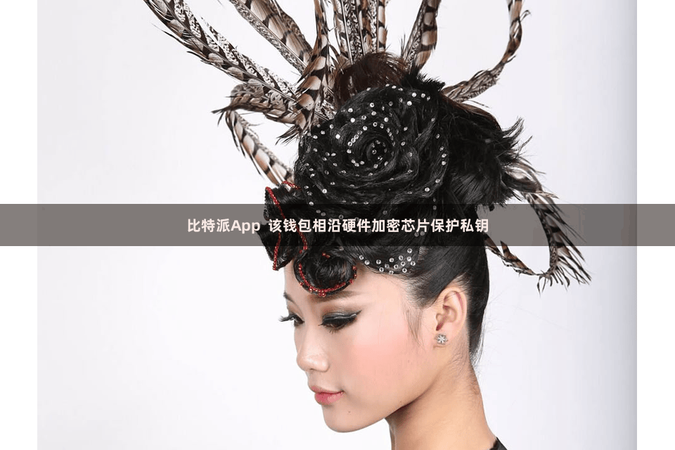 比特派App 该钱包相沿硬件加密芯片保护私钥