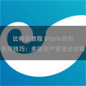 比特派教程 Bitpie钱包使用技巧：多链资产管理全攻略