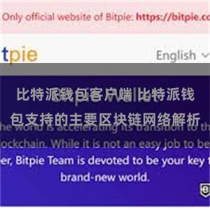 比特派钱包客户端 比特派钱包支持的主要区块链网络解析