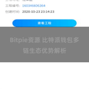 Bitpie资源 比特派钱包多链生态优势解析