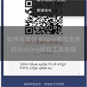 比特派支付 Bitpie钱包支持的Staking收益工具教程