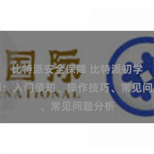 比特派安全保障 比特派初学者指南：入门须知、操作技巧、常见问题分析