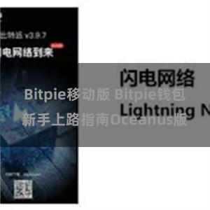 Bitpie移动版 Bitpie钱包新手上路指南Oceanus版