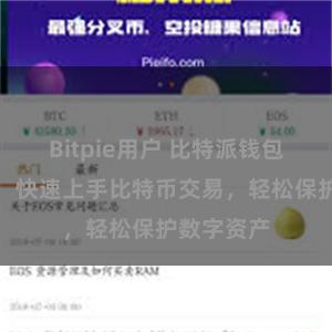 Bitpie用户 比特派钱包新手指南：快速上手比特币交易，轻松保护数字资产