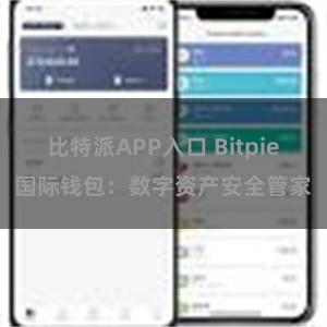 比特派APP入口 Bitpie国际钱包：数字资产安全管家