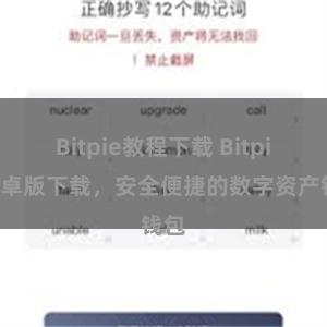 Bitpie教程下载 Bitpie安卓版下载，安全便捷的数字资产钱包