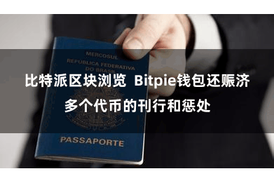 比特派区块浏览  Bitpie钱包还赈济多个代币的刊行和惩处