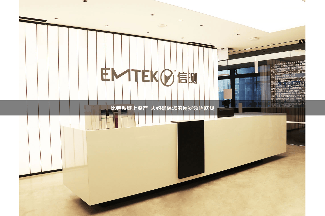 比特派链上资产 大约确保您的网罗领悟肤浅